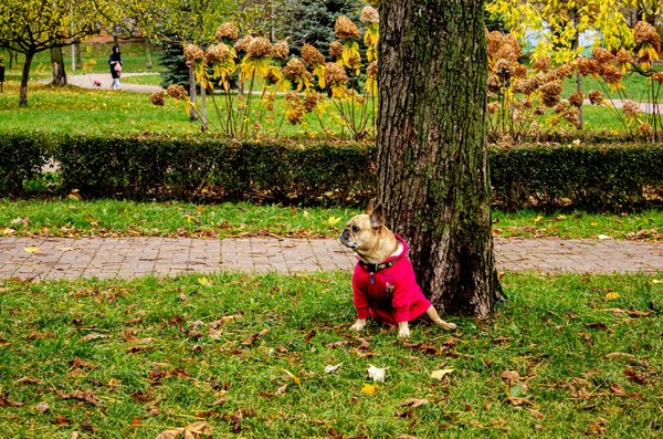 La génétique dans l'industrie de l'assurance santé